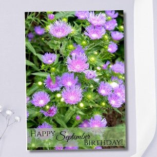 September Birth Flower Purple Stoker Asters Card