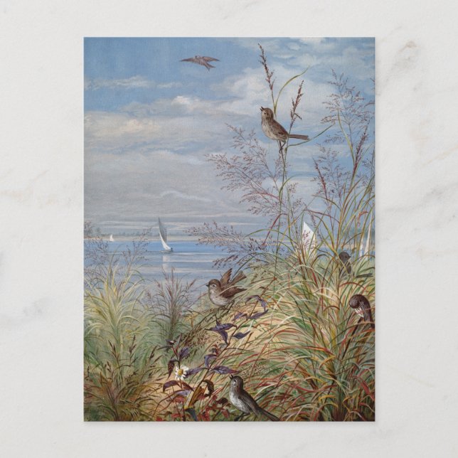 September | Fidelia Bridges Postcard (Front)