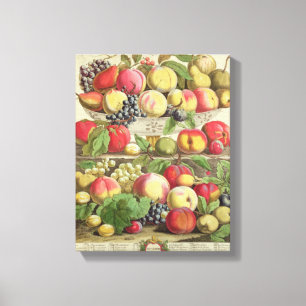 September, from 'Twelve Months of Fruits' Canvas Print