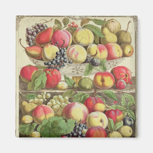September, from 'Twelve Months of Fruits' Magnet (Front)