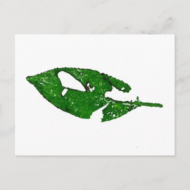 "September Leaf #1" Country Roads Postcard (Front)