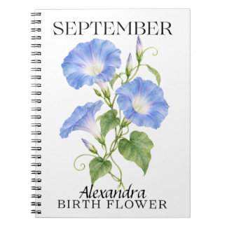 September Morning Glory Botanical Birth Flower Notebook