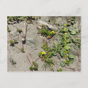 September Postcard