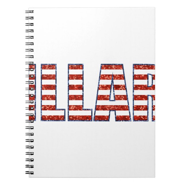 sequin hillary spiral notebook (Front)