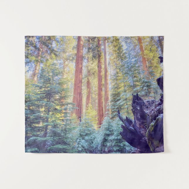 Sequoia Forest  Tapestry (Front (Horizontal))