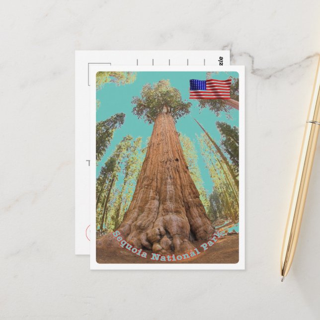 Sequoia - General Sherman Tree - United States - Postcard (Front/Back In Situ)