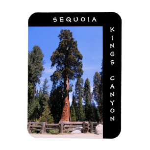 Sequoia Kings Canyon Magnet