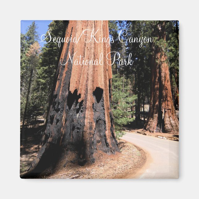 Sequoia/Kings Canyon National Park Magnet (Front)