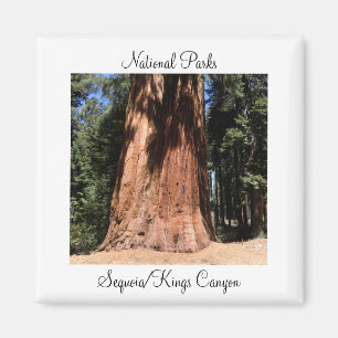 Sequoia Kings Canyon National Park Magnet