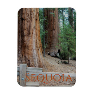 Sequoia/Kings Canyon National Park Magnet