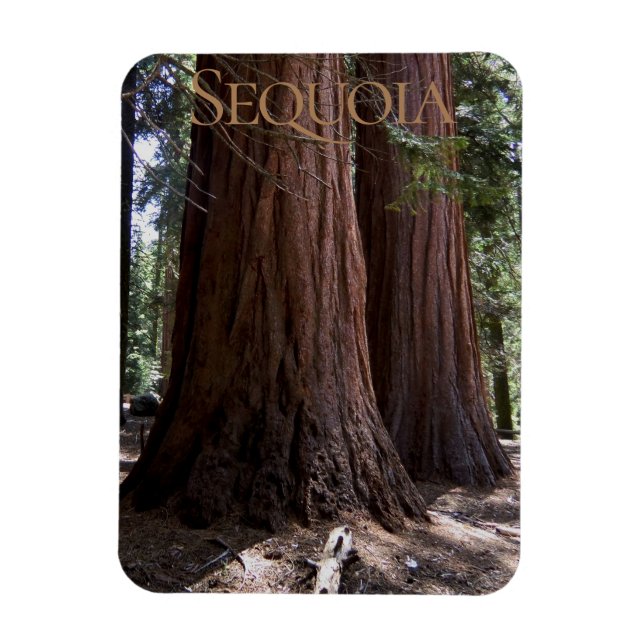 Sequoia Kings Canyon National Park Magnet (Vertical)