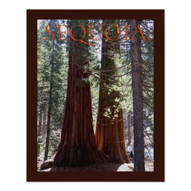 Sequoia/Kings Canyon Poster (Front)