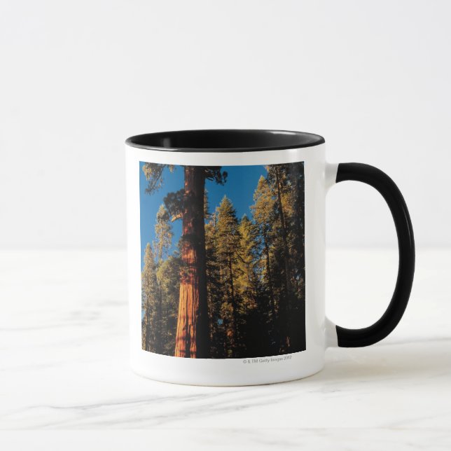 Sequoia National Park , California 2 Mug (Right)