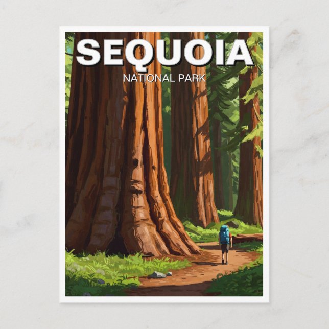 Sequoia National Park California Postcard (Front)