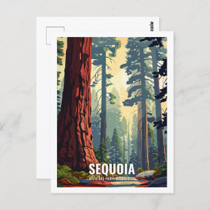 Sequoia National Park California USA Postcard
