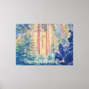 Sequoia National Park Canvas Print