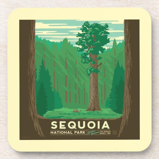 Sequoia National Park Coaster (Front)