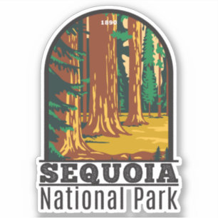 Sequoia National Park Giant Sequoia Trees Vintage