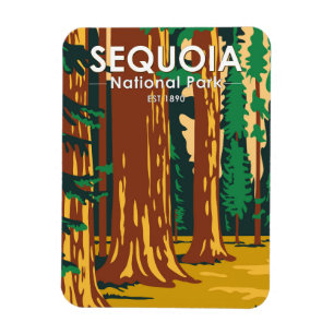 Sequoia National Park Giant Sequoia Trees Vintage Magnet