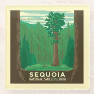 Sequoia National Park Glass Coaster