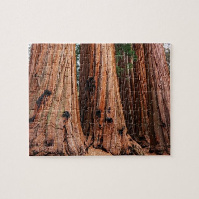 Sequoia National Park Jigsaw Puzzle (Horizontal)