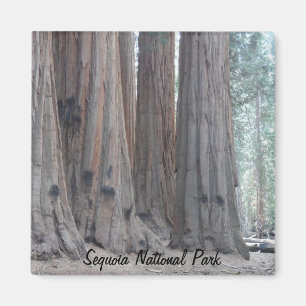 Sequoia National Park Magnet