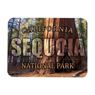 Sequoia National Park Magnet