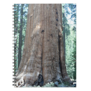 Sequoia National Park Notebook