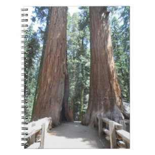 Sequoia National Park Notebook