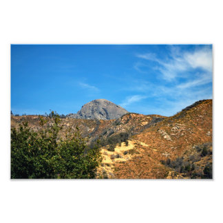Sequoia National Park Photo Print