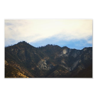 Sequoia National Park Photo Print