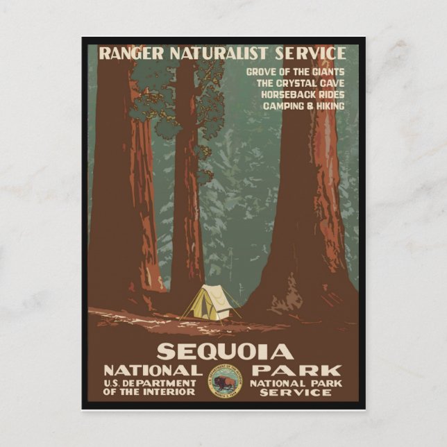 Sequoia National Park Postcard (Front)