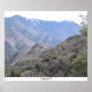 Sequoia National Park Poster