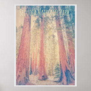 Sequoia National Park Poster