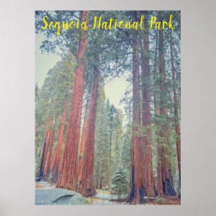 Sequoia National Park Poster