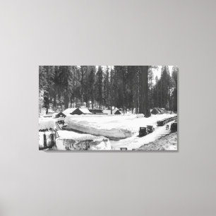 Sequoia National Park Snow Scene in Village Canvas Print