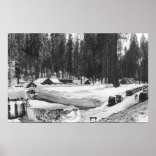 Sequoia National Park Snow Scene in Village Poster
