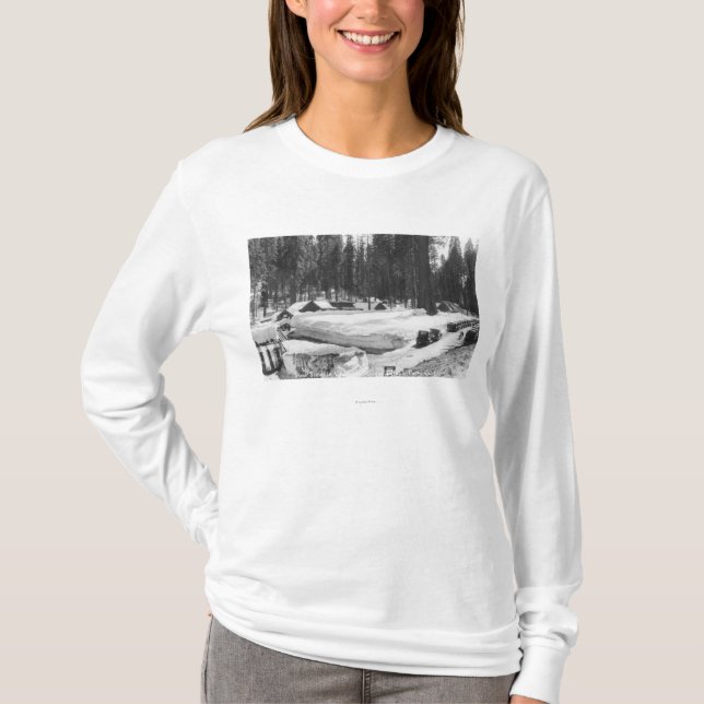 Sequoia National Park Snow Scene in Village T-Shirt (Front)