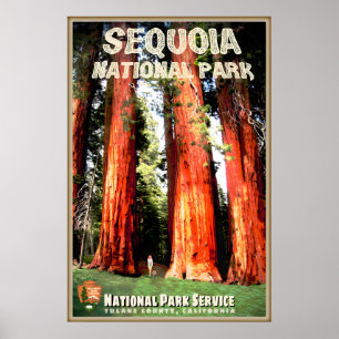 Sequoia National Park Tulare County California New Poster