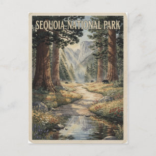 Sequoia National Park Vintage Travel Postcard