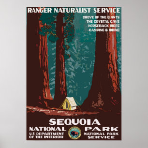 Sequoia  poster