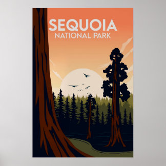 Sequoia Poster