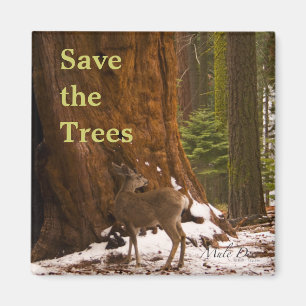 Sequoia Save the Trees Magnet
