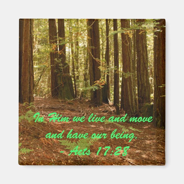 Sequoias Magnet (Front)