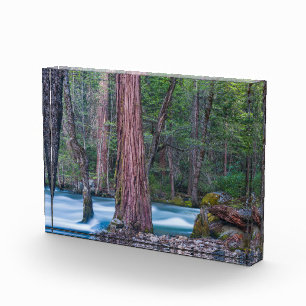 Sequoias & Merced River Yosemite National Park, CA Photo Block