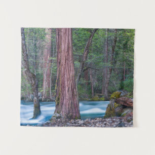Sequoias & Merced River Yosemite National Park, CA Tapestry