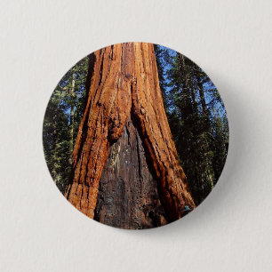 Sequoias Trees Giants Burned Bark 6 Cm Round Badge