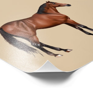 Serafina - braunes Pferd, stehend - Photo Print