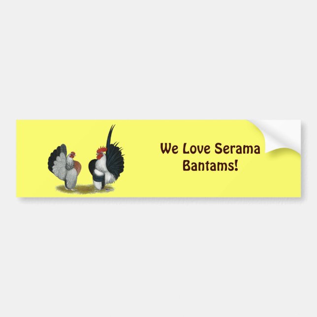 Serama Bantams Bumper Sticker (Front)