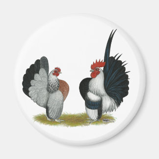 Serama Bantams Magnet